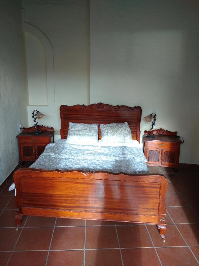 Palmeras Ingenio Extérieur photo