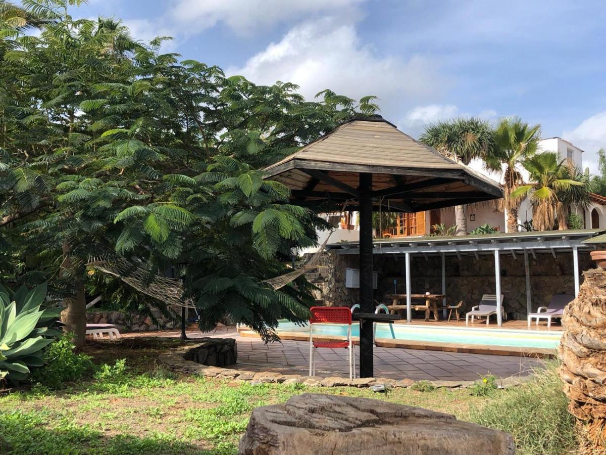 Palmeras Ingenio Extérieur photo