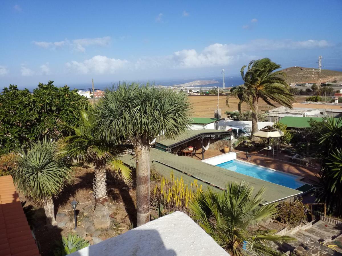 Palmeras Ingenio Extérieur photo
