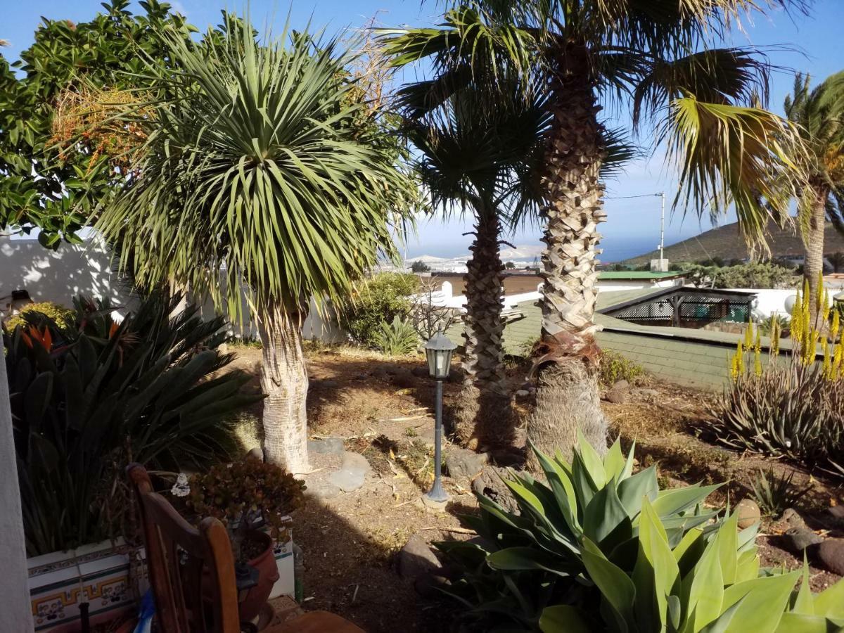 Palmeras Ingenio Extérieur photo