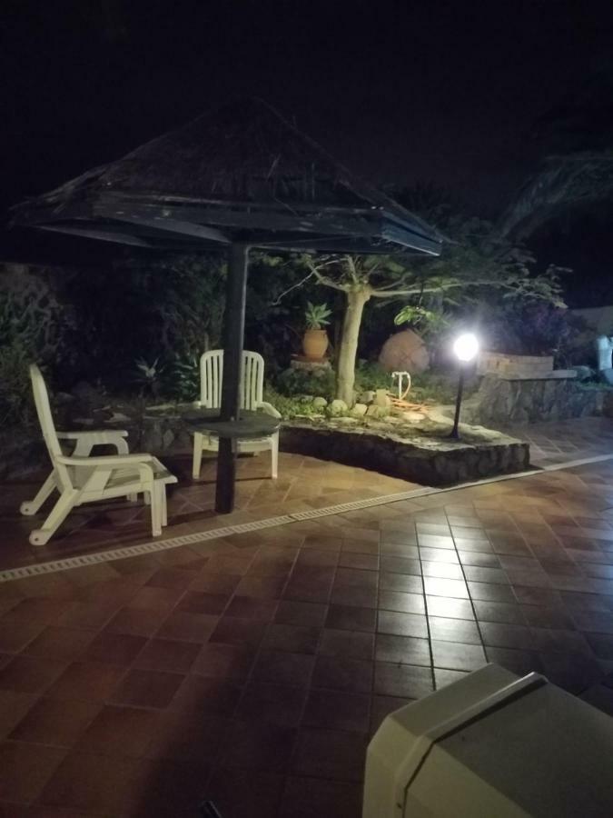 Palmeras Ingenio Extérieur photo