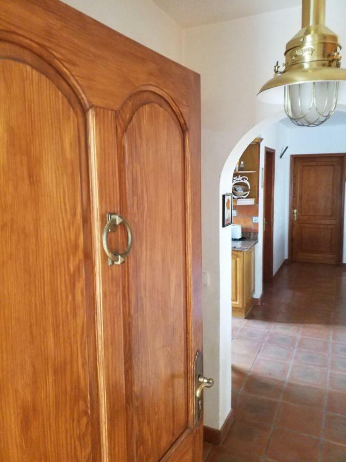 Palmeras Ingenio Extérieur photo