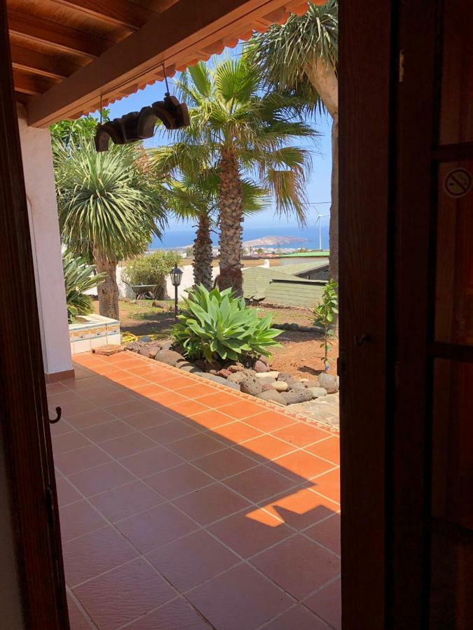 Palmeras Ingenio Extérieur photo