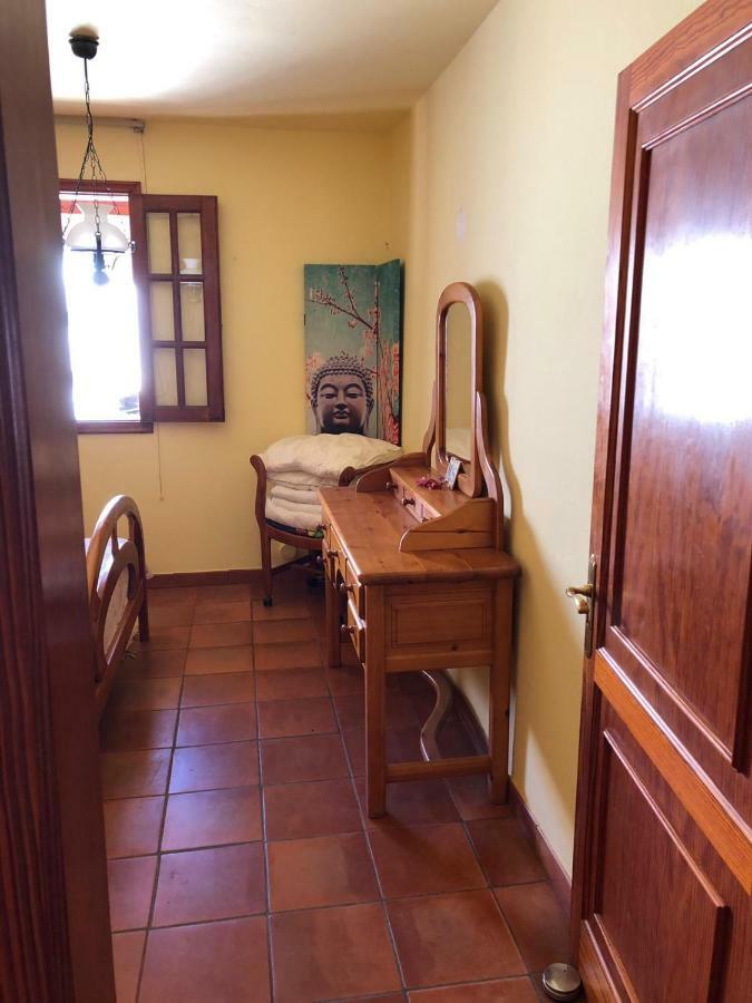Palmeras Ingenio Extérieur photo