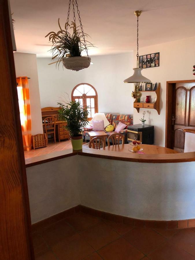 Palmeras Ingenio Extérieur photo