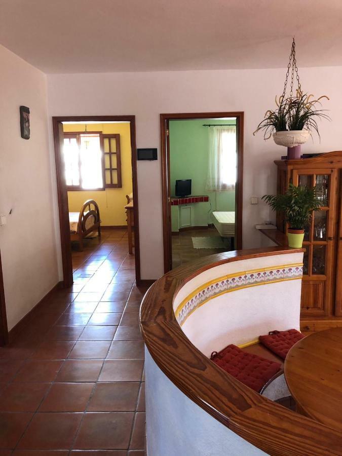 Palmeras Ingenio Extérieur photo