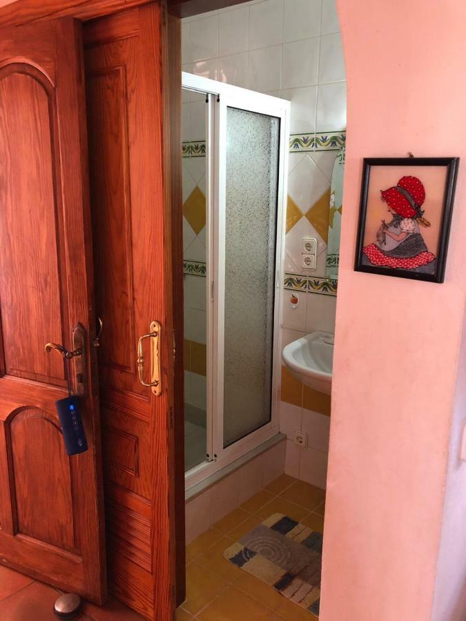 Palmeras Ingenio Extérieur photo