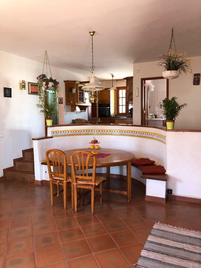 Palmeras Ingenio Extérieur photo