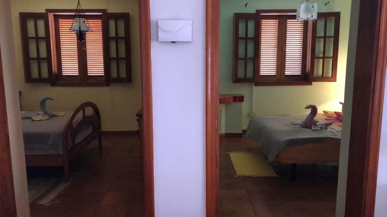 Palmeras Ingenio Extérieur photo