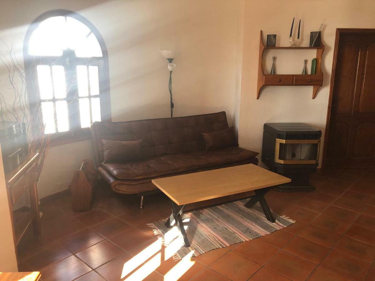 Palmeras Ingenio Extérieur photo