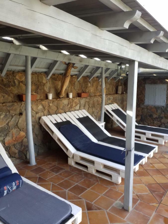 Palmeras Ingenio Extérieur photo